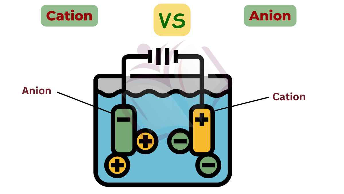 image showing difference between cation and anion