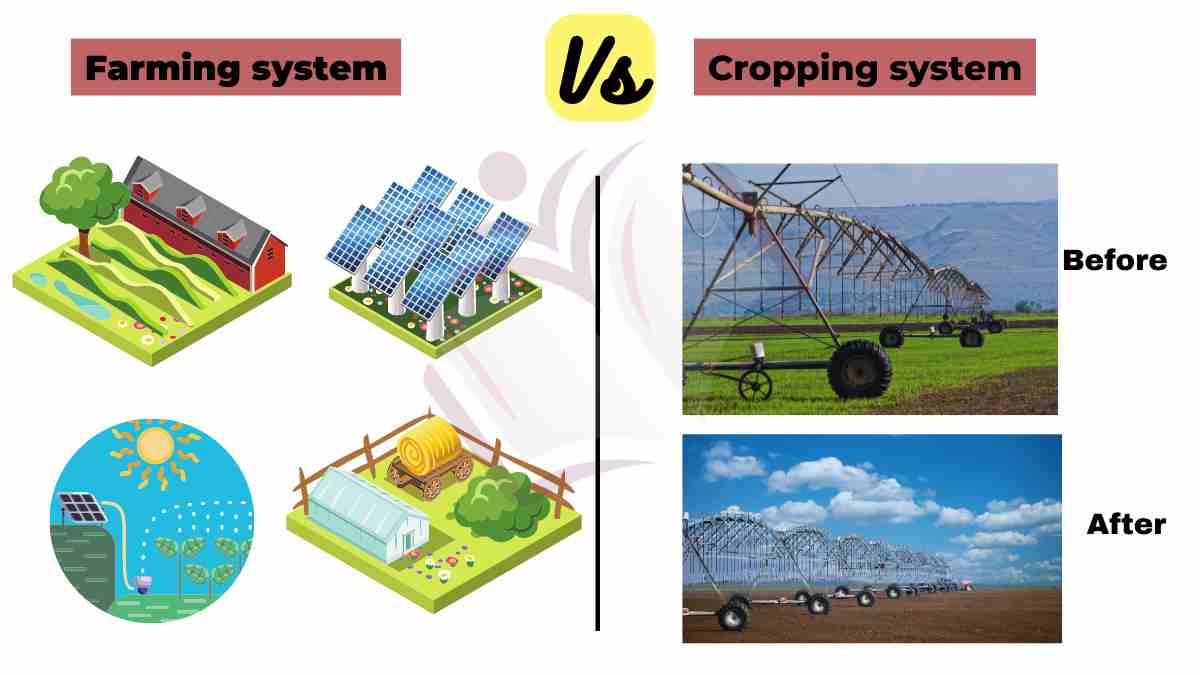 image showing difference between farming system and cropping system
