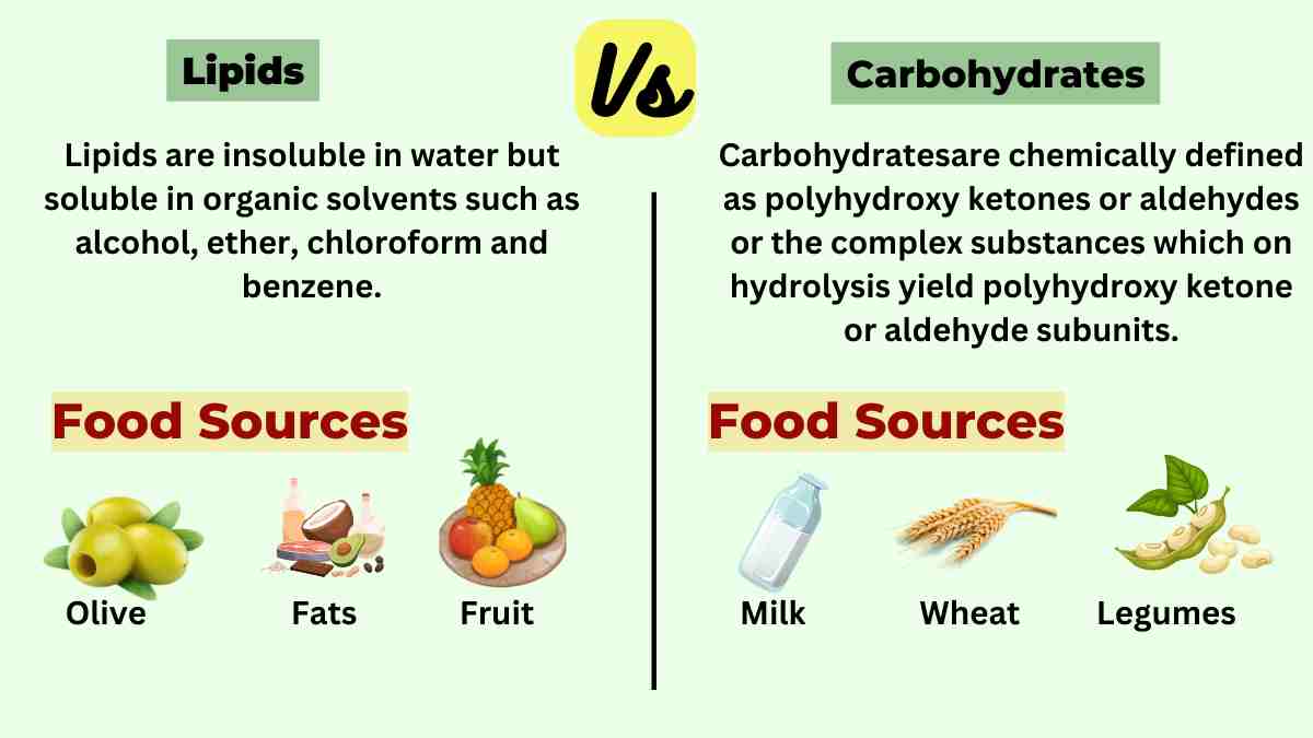 image showing the difference between lipids and cabohydrates