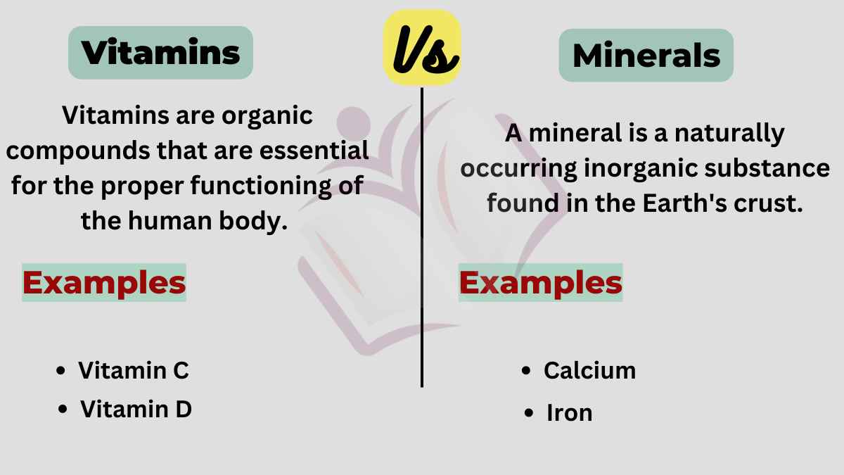 image showing the difference between vitamins and minerals
