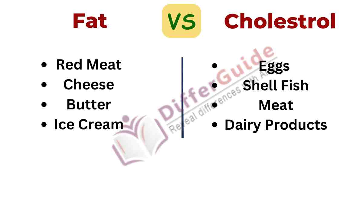 Image showing difference between fat and cholesterol