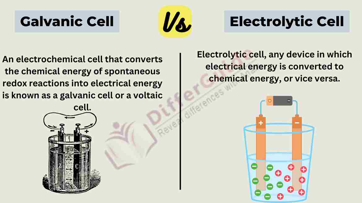 image showing difference between galvanic cell and electrolytic cell

